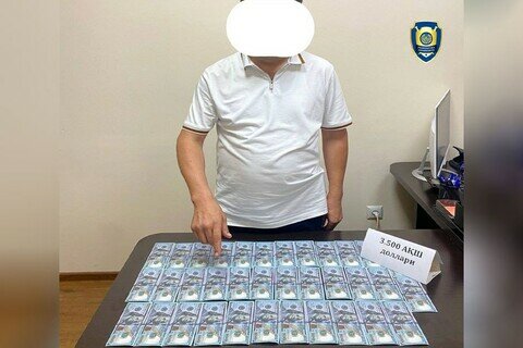 Toshkent davlat yuridik universitetiga o‘qishga kiritib qo‘yishni va’da qilgan firibgar ushlandi