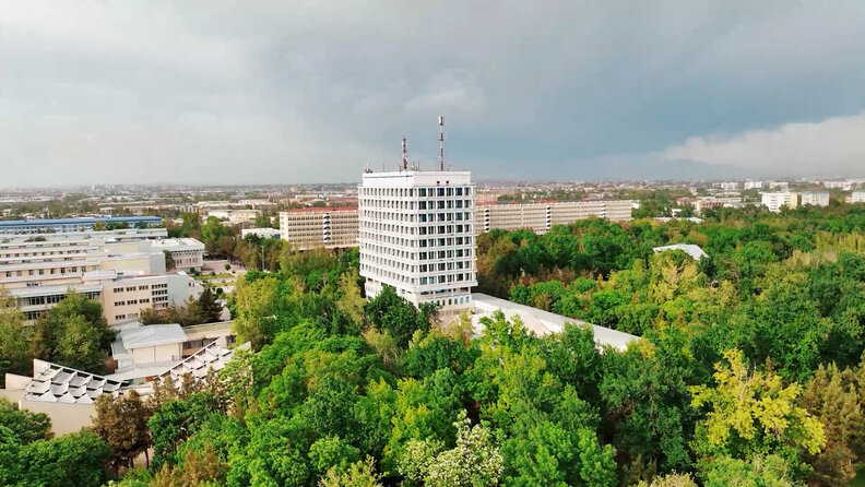 2025-yilgi test sinovlari natijalari bo‘yicha Toshkent shahrida erkak/o‘g‘il va ayol/qiz abituriyentlarning natijalari